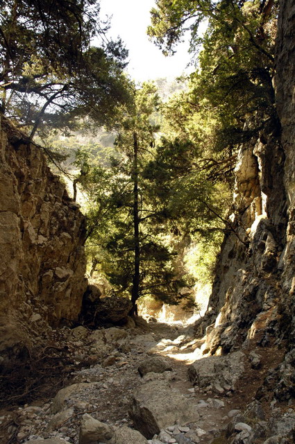 crete170905_045_imbros_gorge