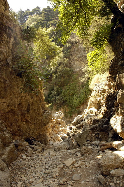crete170905_048_imbros_gorge