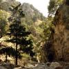 crete170905_049_imbros_gorge