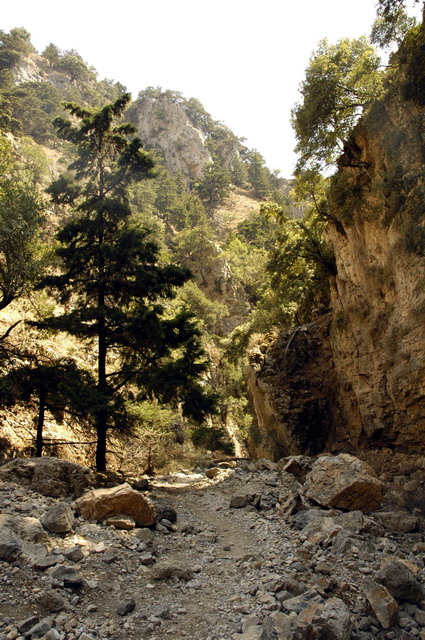crete170905_049_imbros_gorge