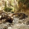 crete170905_050_imbros_gorge