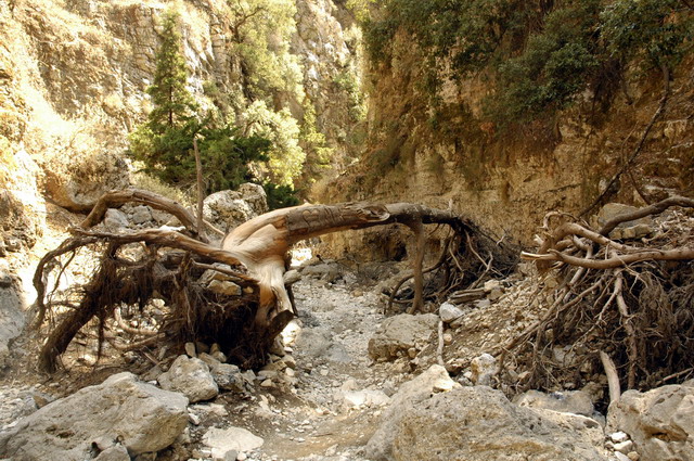 crete170905_050_imbros_gorge