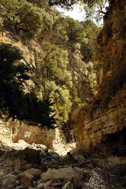 crete170905_051_imbros_gorge