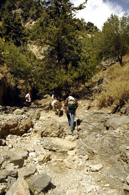 crete170905_056_imbros_gorge