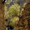 crete170905_057_imbros_gorge