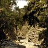 crete170905_059_imbros_gorge