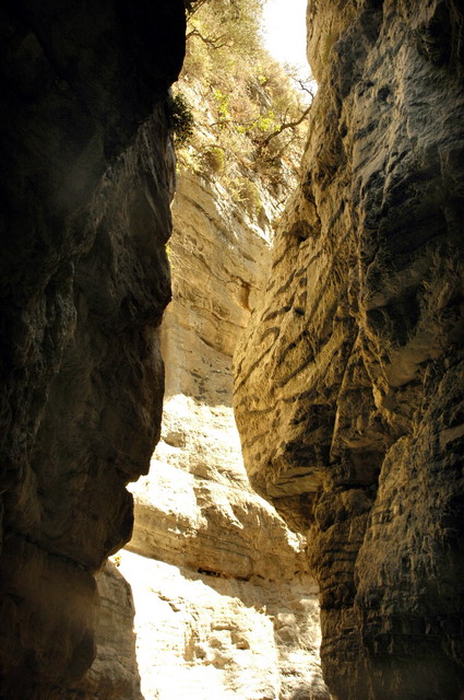 crete170905_063_imbros_gorge