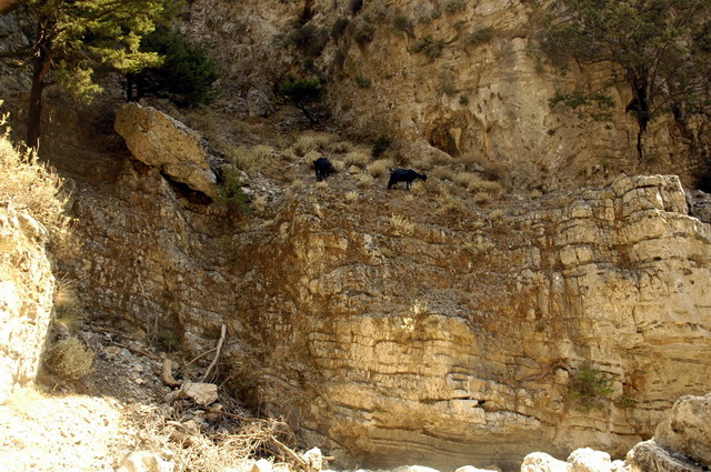 crete170905_064_imbros_gorge