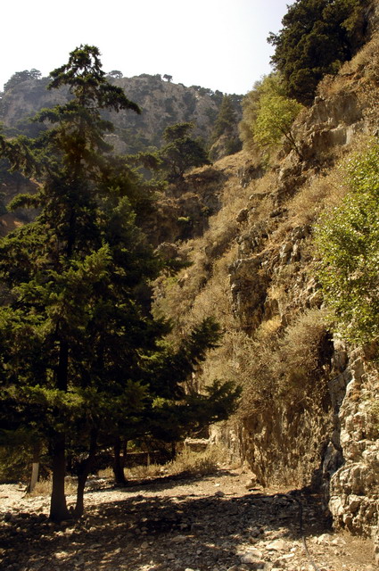 crete170905_066_imbros_gorge