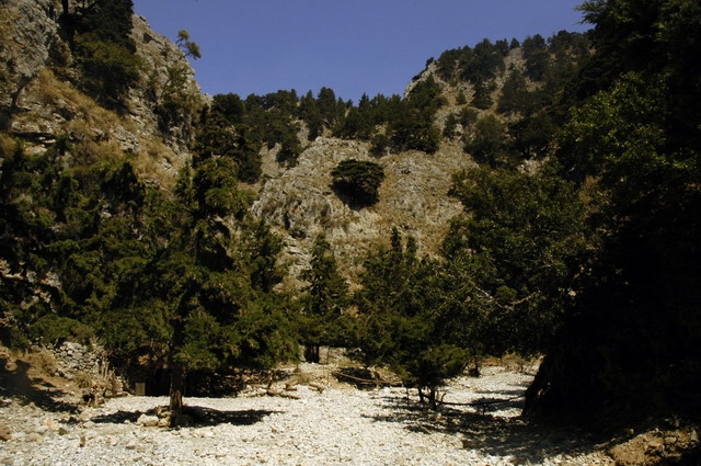 crete170905_069_imbros_gorge