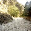 crete170905_070_imbros_gorge