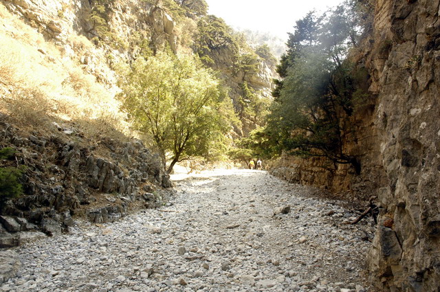crete170905_070_imbros_gorge