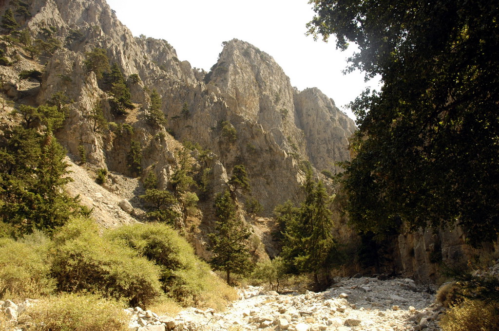 crete170905_080_imbros_gorge