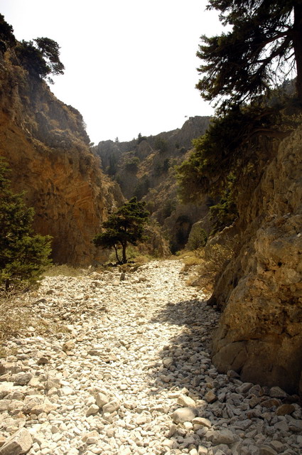 crete170905_083_imbros_gorge