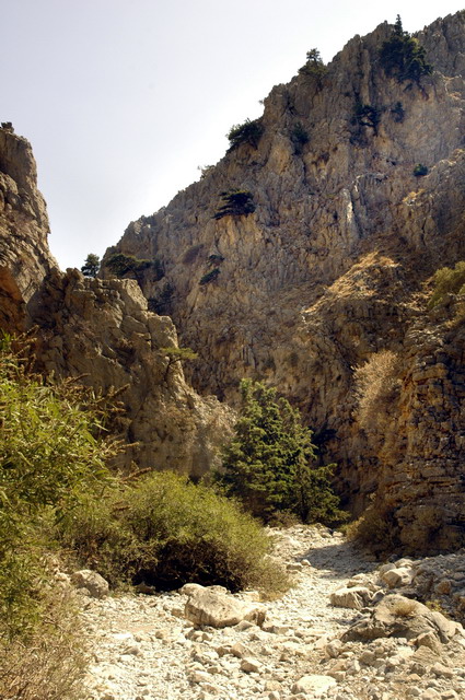crete170905_086_imbros_gorge