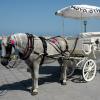 crete180905_14_chania