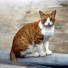 crete220905_47_chania