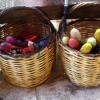 crete240905_53_chania