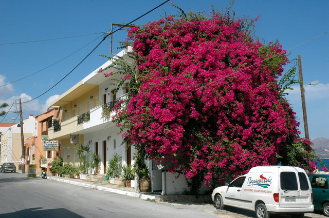 crete250905_34_kalives