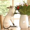 tondinie_cats210506_02