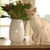 tondinie_cats210506_04