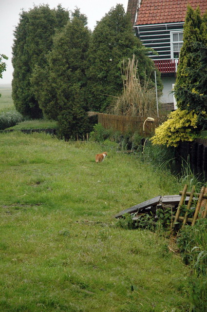 marlin260506_18_marken