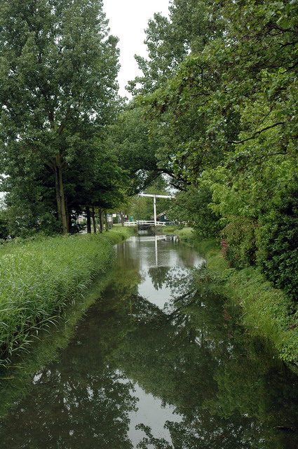 marlin260506_41_marken