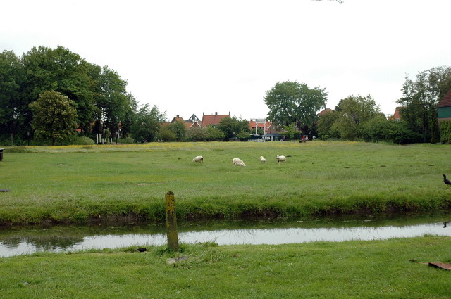 marlin260506_42_marken
