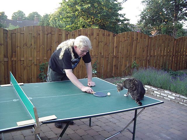 bbq_cpc160606_35_cat_tabletennis