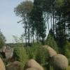 060920_gaiapark01