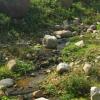 060920_gaiapark04