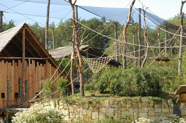 060920_gaiapark05