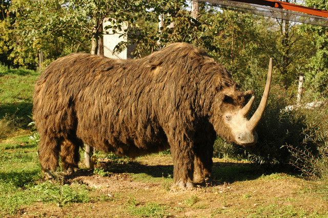 060920_gaiapark60_prehistoriccamp