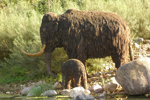 060920_gaiapark61_prehistoriccamp