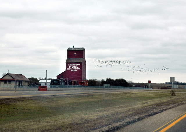can171006_49_saskatchewan_prairie