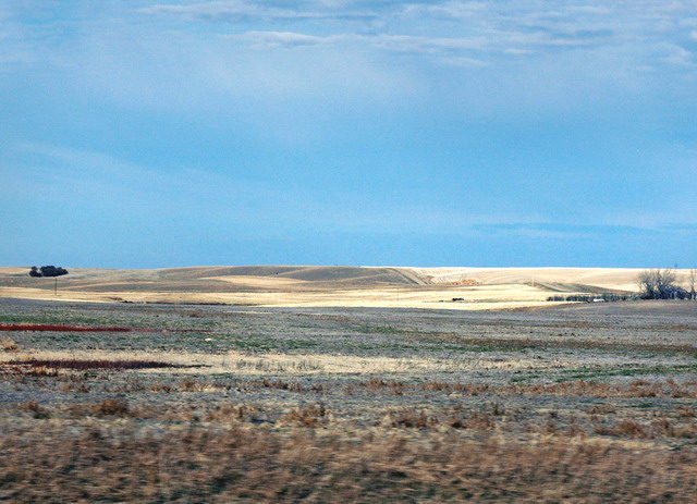 can251006_09_prairie