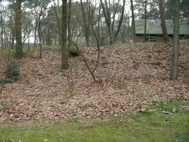 070316_peel02