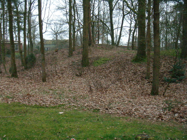 070316_peel03