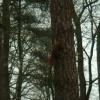 070317_peel02