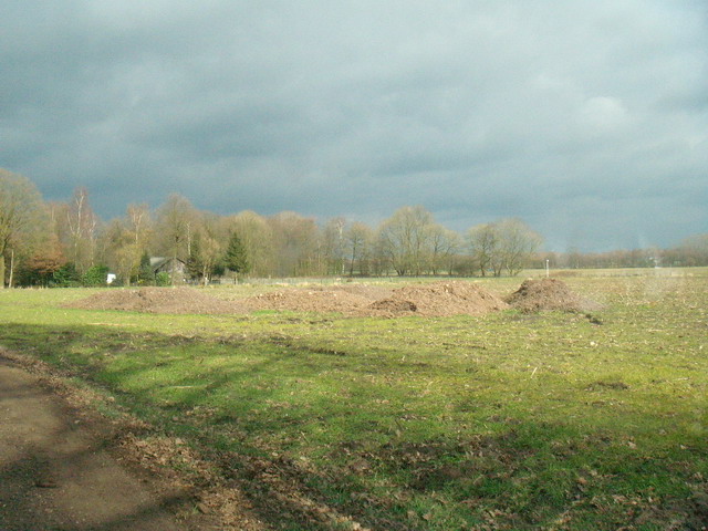 070317_peel06