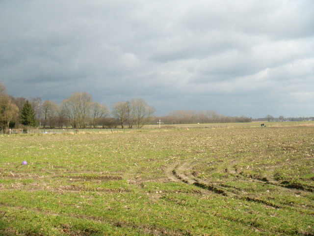 070317_peel07
