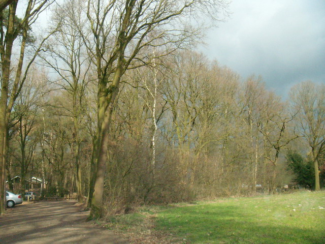 070317_peel08