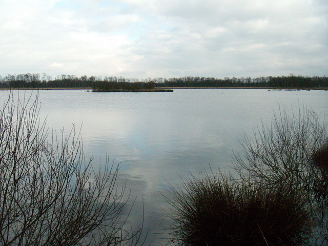 070317_peel14