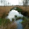 070317_peel16