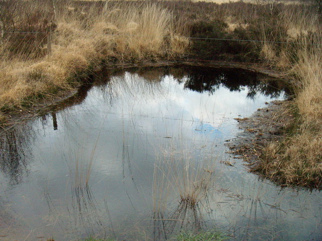070317_peel20