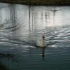 070317_peel29
