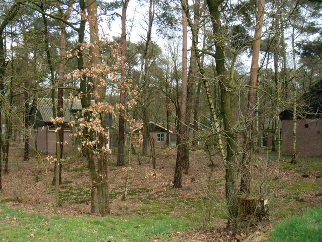 070318_peel06