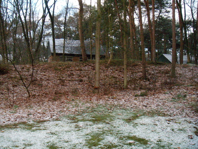 070319_peel1