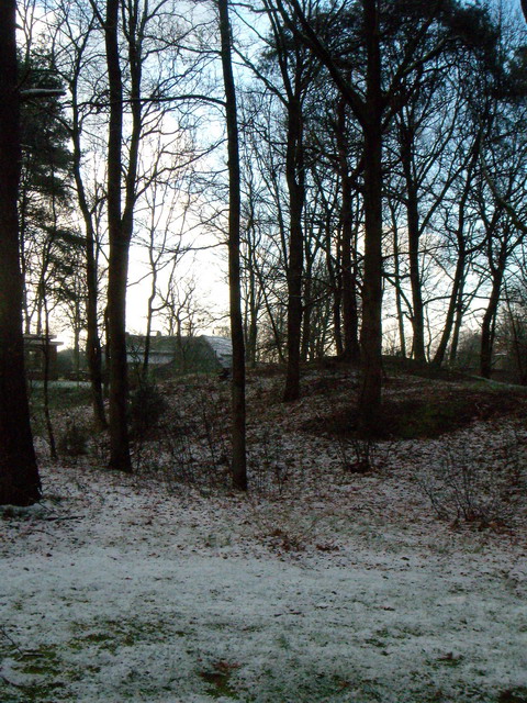070319_peel2
