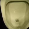 070407_35m_kennedymars_fly_sticker_in_urinal